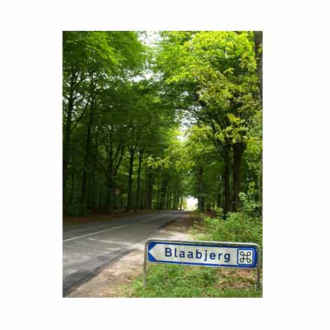 Alle Wege führen zum blauen Berg