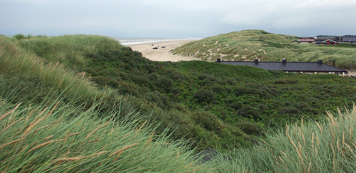 Bild – Sauberer Strand an der Nordsee an der Jammerbucht