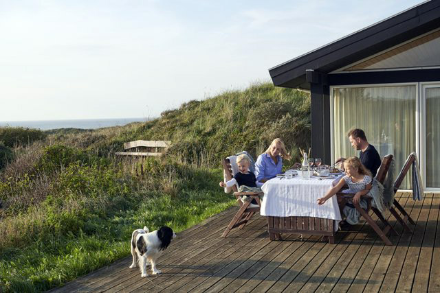 An Dänemarks Küste den Urlaub mit Hund verbringen