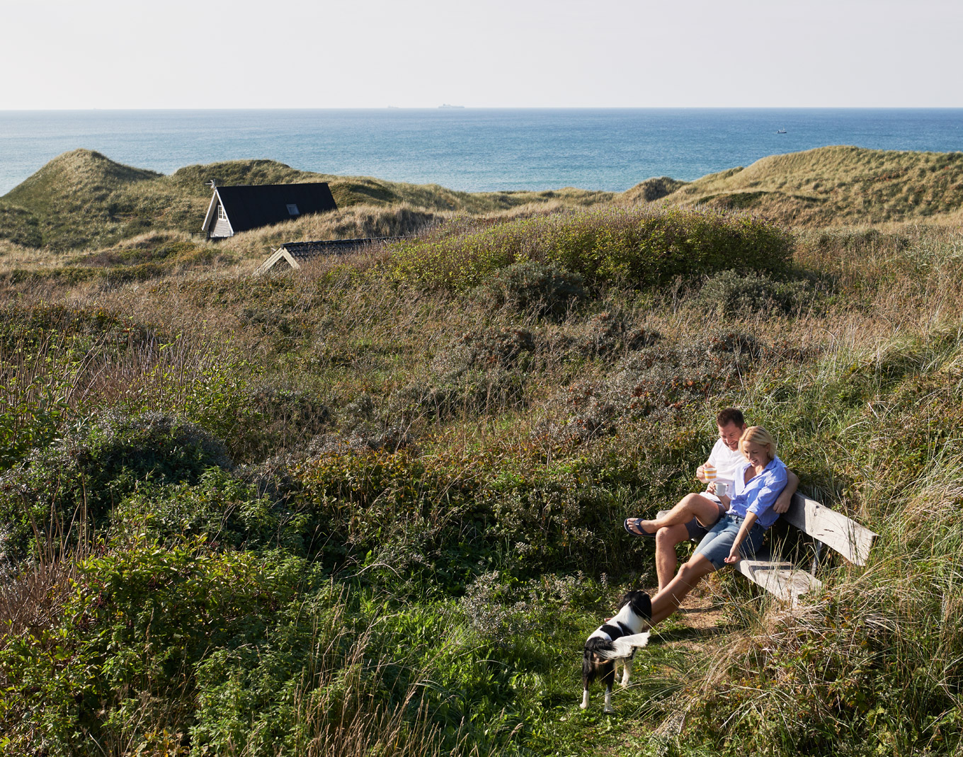 Ferienhaus mit Hund für den Urlaub in Dänemark buchen