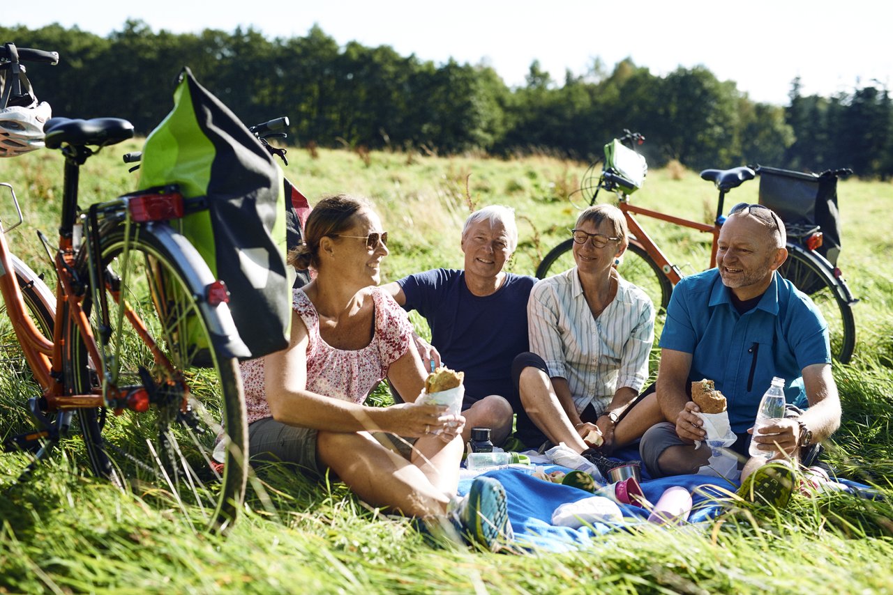 Foto: Hyggelige Radtour mit Picknick unter Freunden