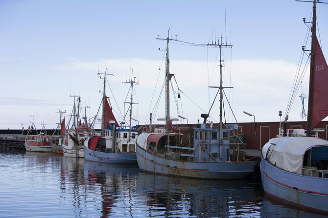 Bild - Læsøs traditionelle Fischerboote beim Jomfruhummerfestival