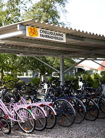 Fahrradverleih auf Møn