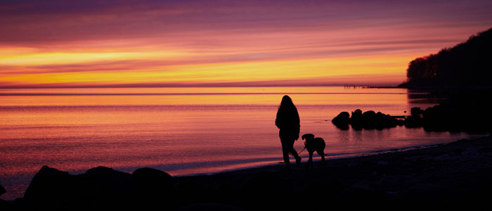 Mit Hund an der Odder-Küste