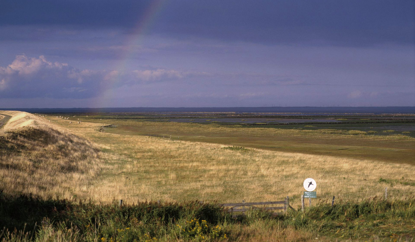 Bild – Regenbogen an der Nordseeküste bei Sonderstrand. 