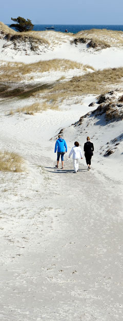 Wandern in den Dünen zum Strand in Dueodde auf Bornholm