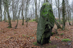 Gryet Steingruppe auf Bornholm