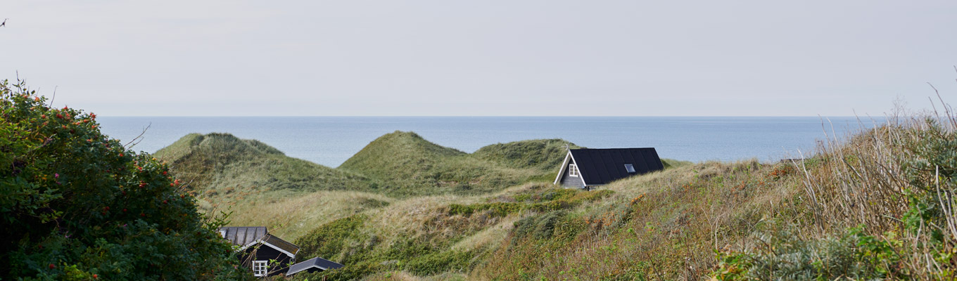  Bild – Dünen an der Nordseeküste in Dänemark