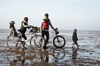 Am dänischem Wattenmeer mit dem Fahrrad