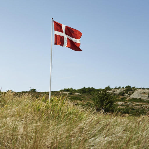 Dänische Flagge in den Dünen